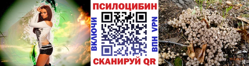 как найти   площадка какой сайт  Псилоцибиновые грибы мухоморы  Щёкино 